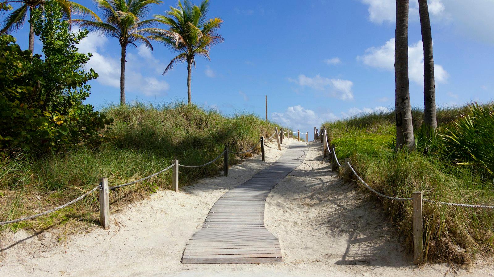 Boardwalk path through the dunes to a Florida beach
