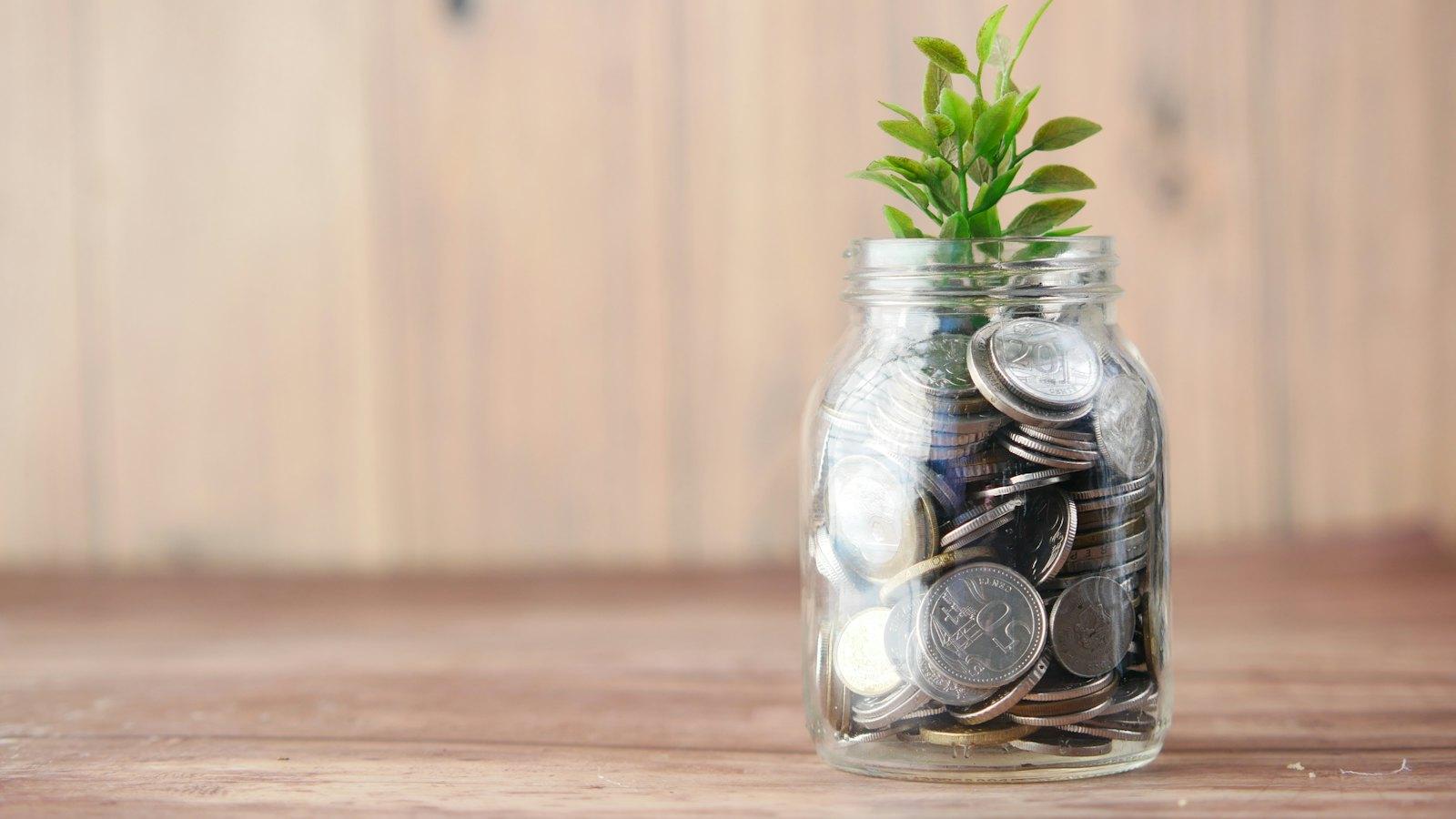 Plant growing from a glass jar filled with coins